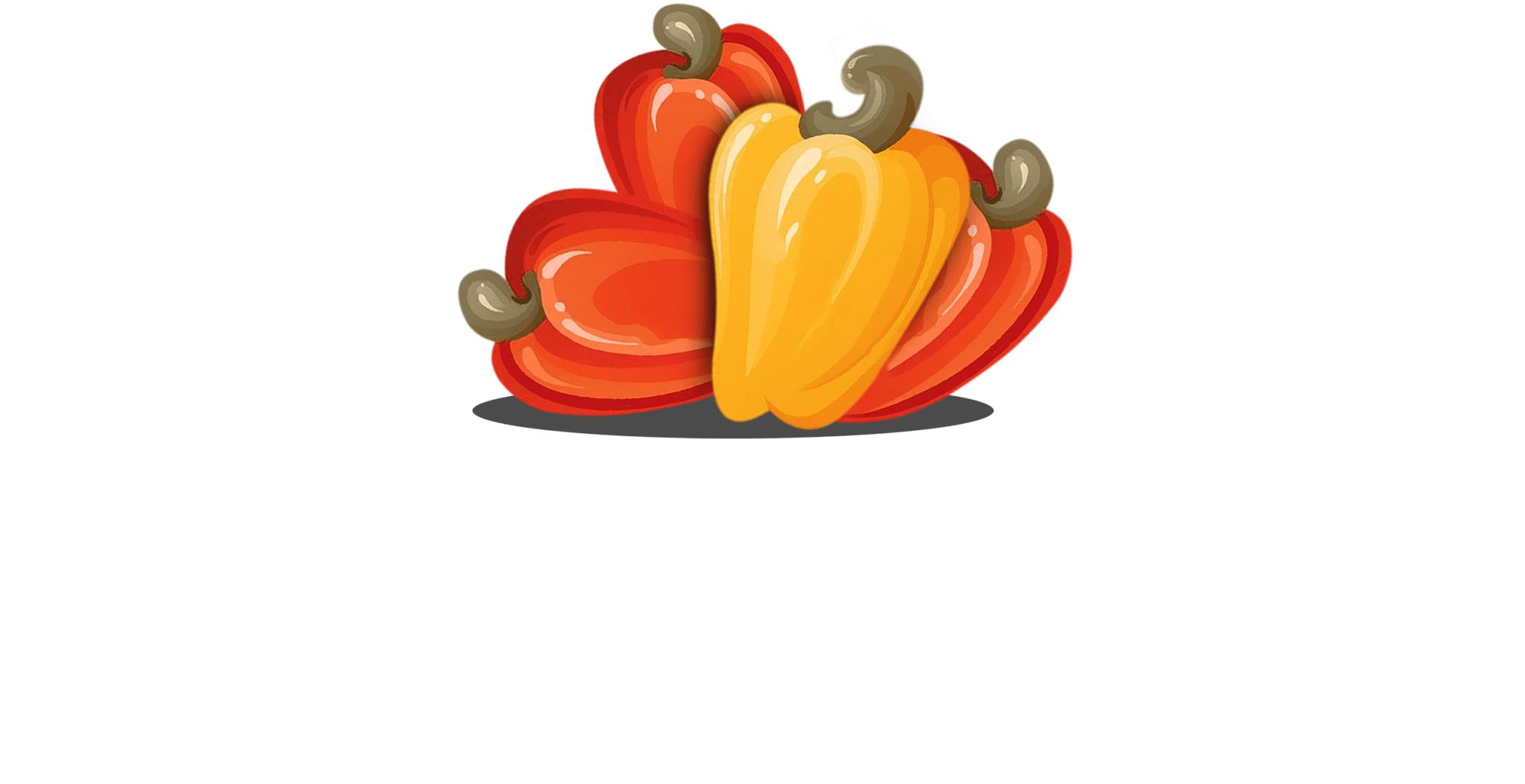 home-cashew-village